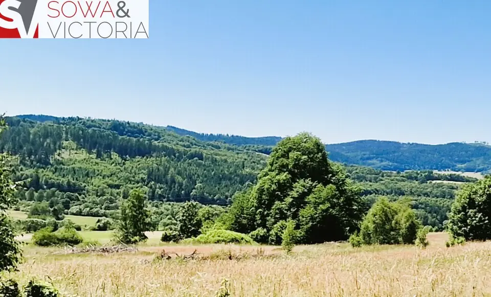 Działka budowlana 3 002 m², Kolce