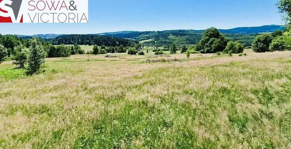 Zdjęcie 2