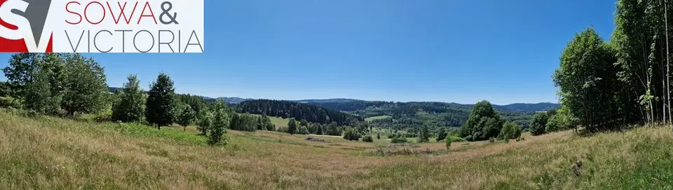 Zdjęcie 3