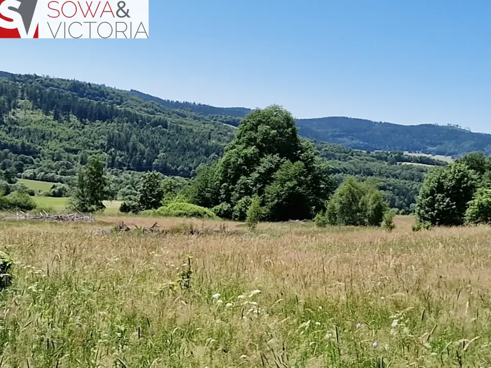 Zdjęcie 4