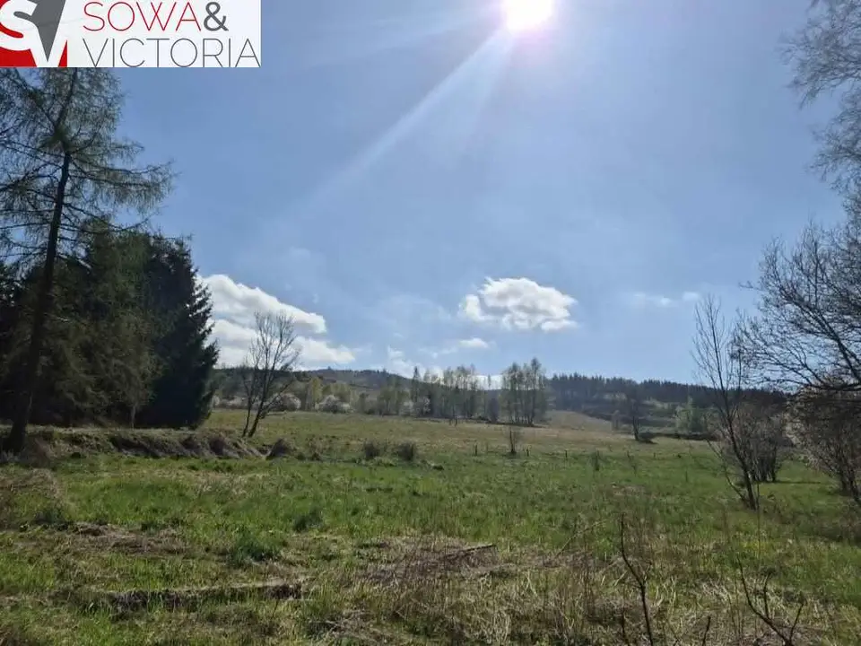 Działka budowlana 5 312 m², Świerki