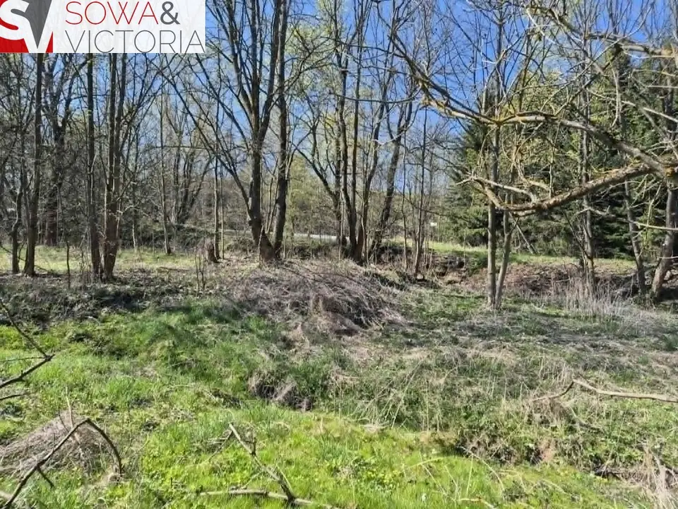 Zdjęcie 11