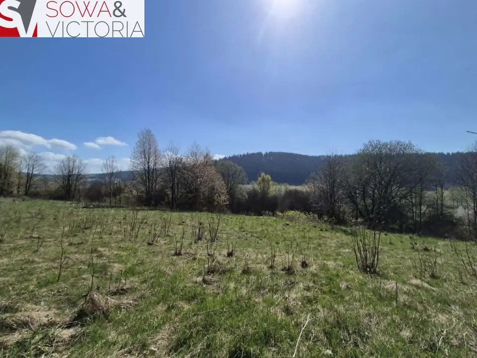 Działka budowlana 3 183 m², Głuszyca Górna