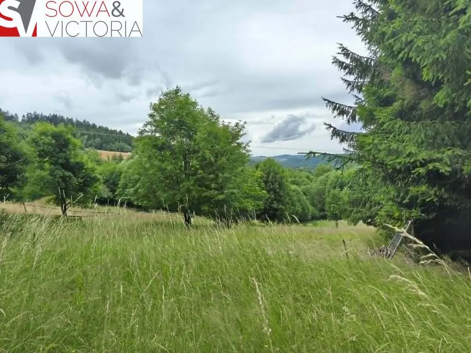 Działka budowlana 2 452 m², Walim