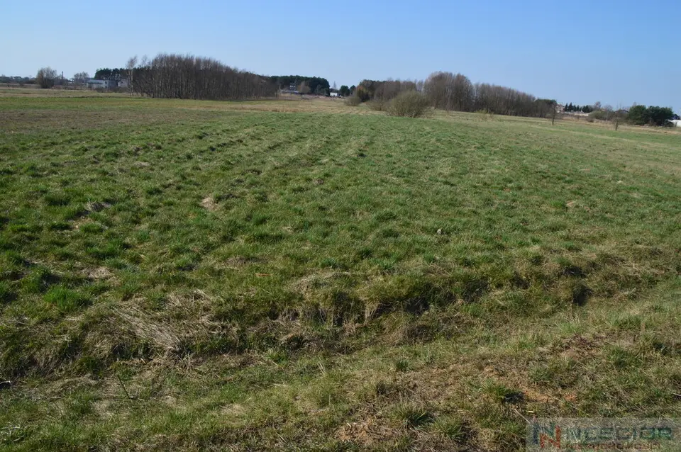 Działka siedliskowa 6 000 m², Żabokliki
