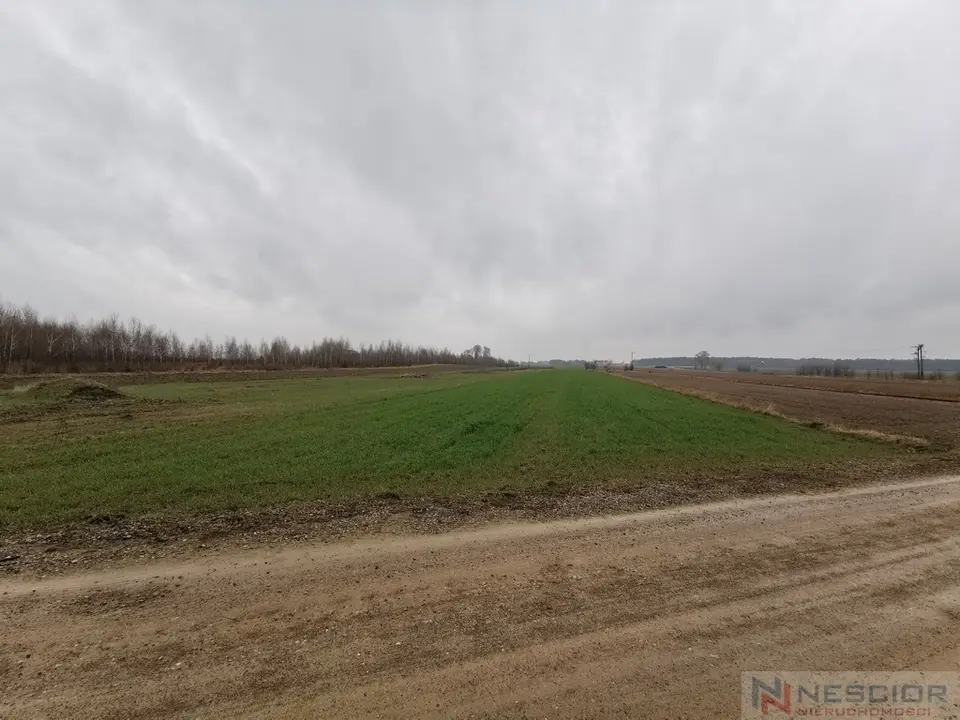 Działka inwestycyjna 1 ha, Gręzówka-Kolonia