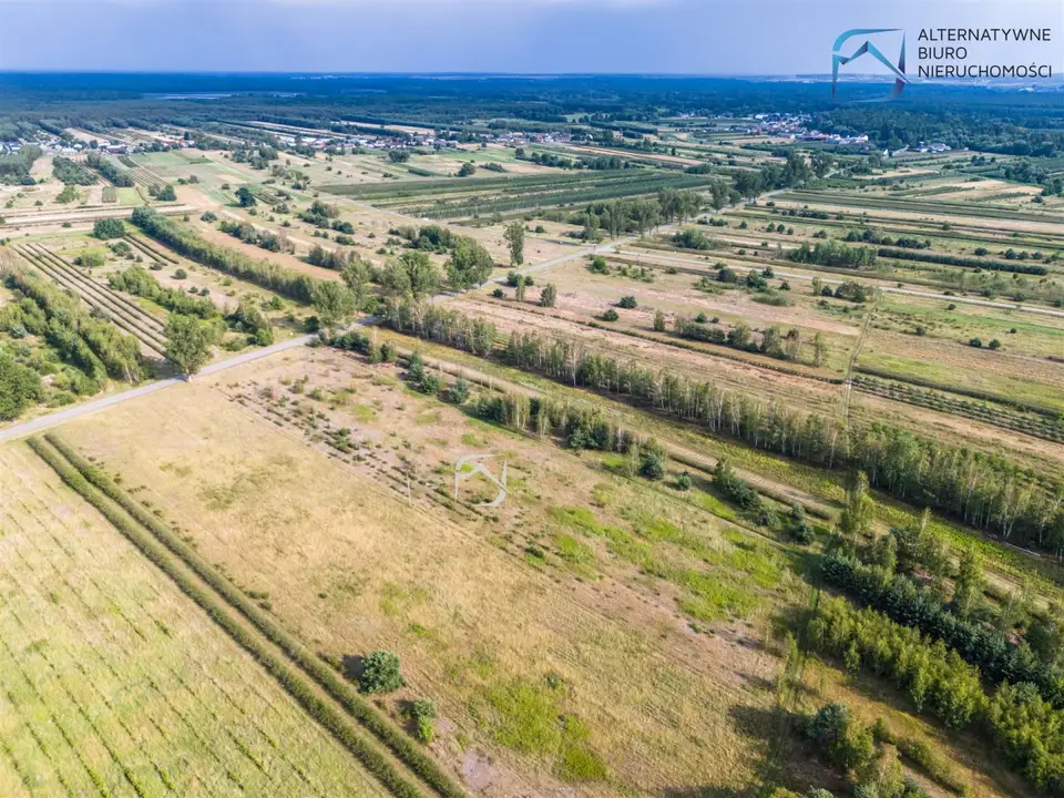 Zdjęcie 10