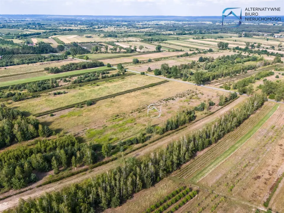 Zdjęcie 14