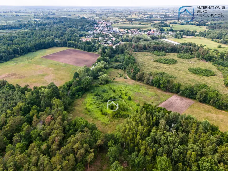 Zdjęcie 6