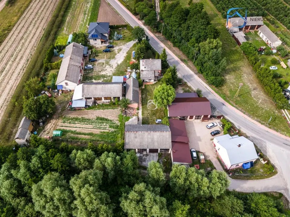 Zdjęcie 10