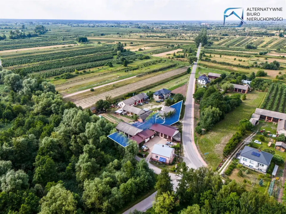 Zdjęcie 11