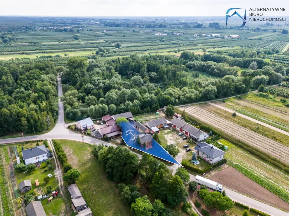 Zdjęcie 13