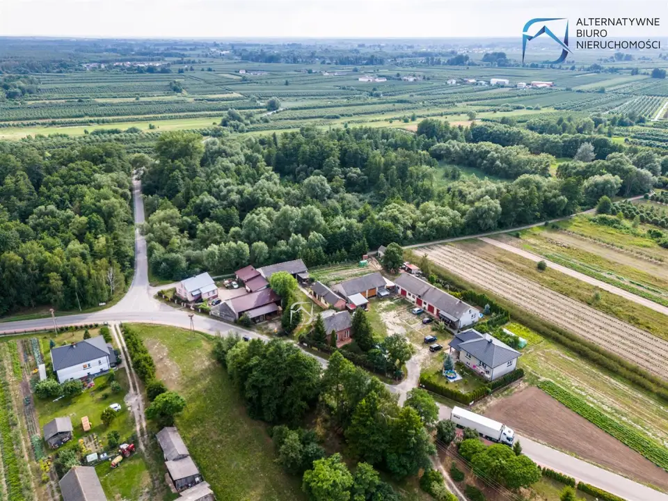 Zdjęcie 14