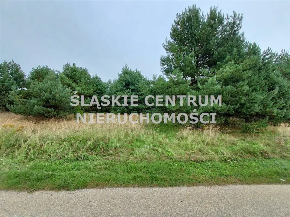 Zdjęcie 5