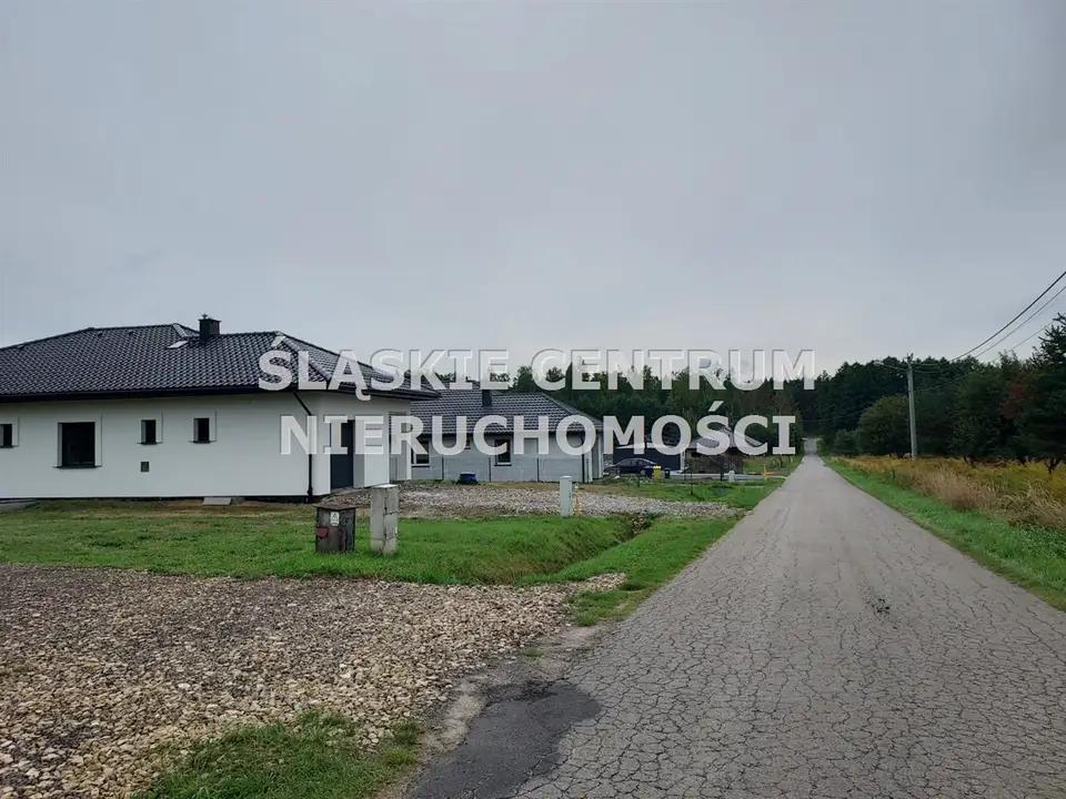 Zdjęcie 7