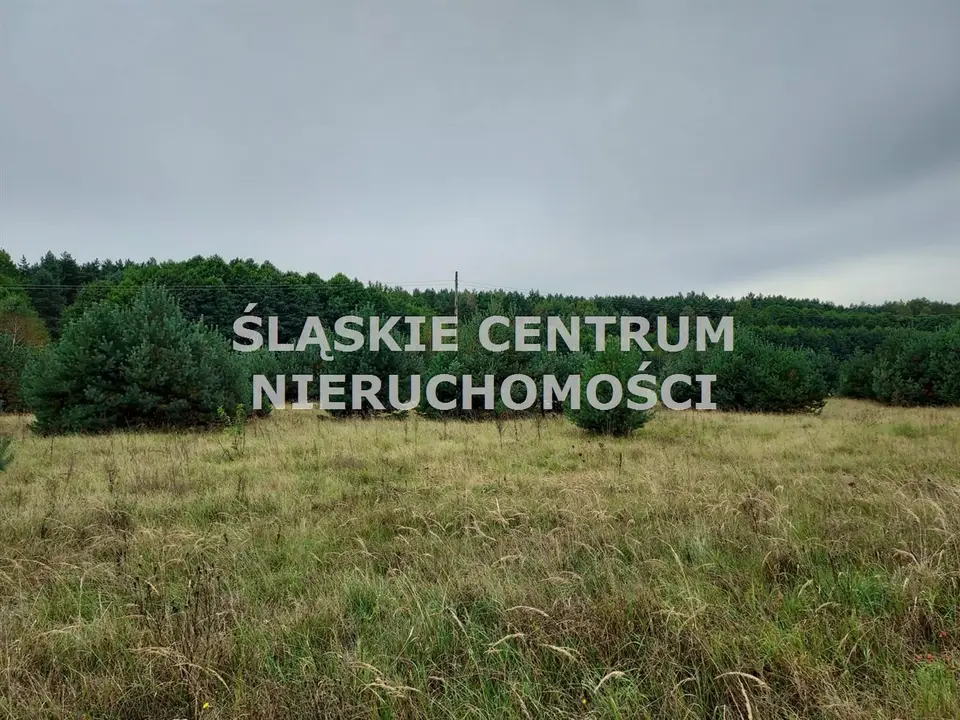 Zdjęcie 10