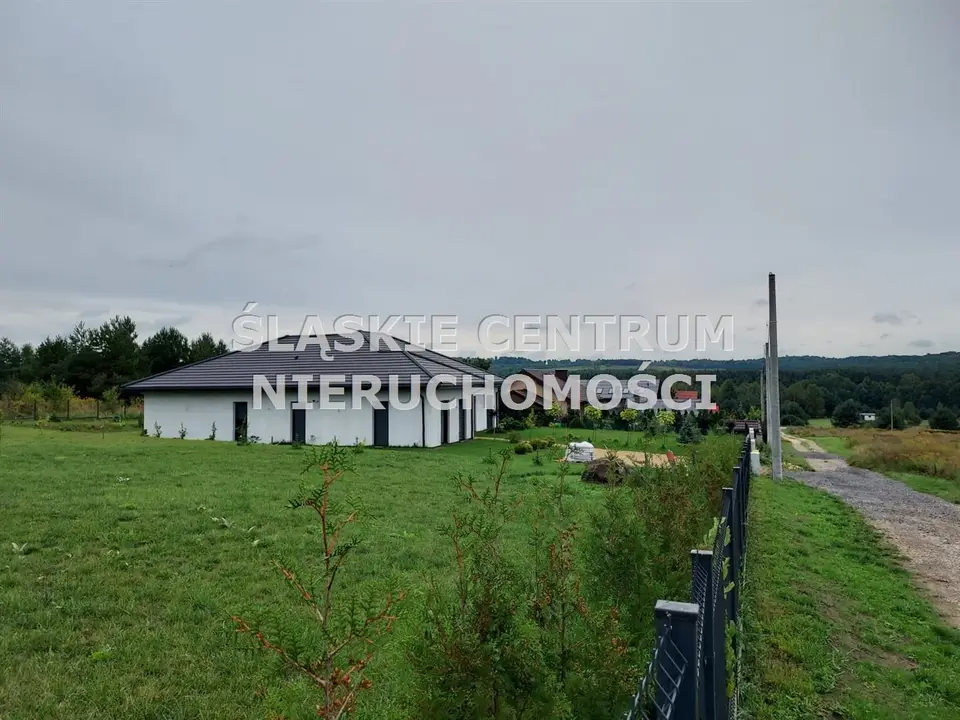 Zdjęcie 11