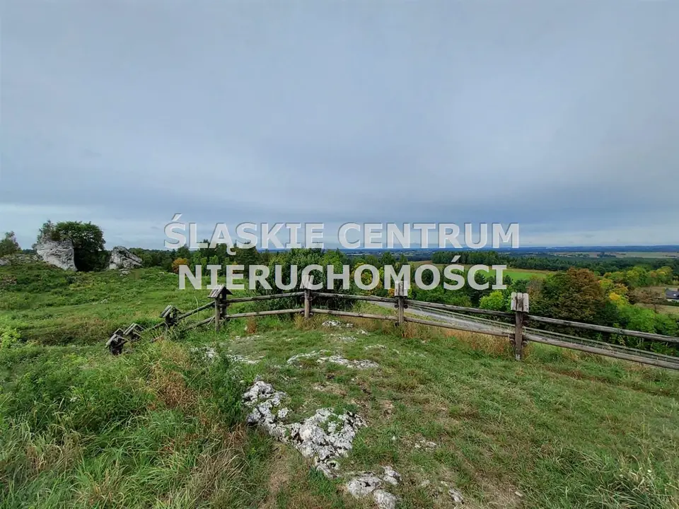 Zdjęcie 13