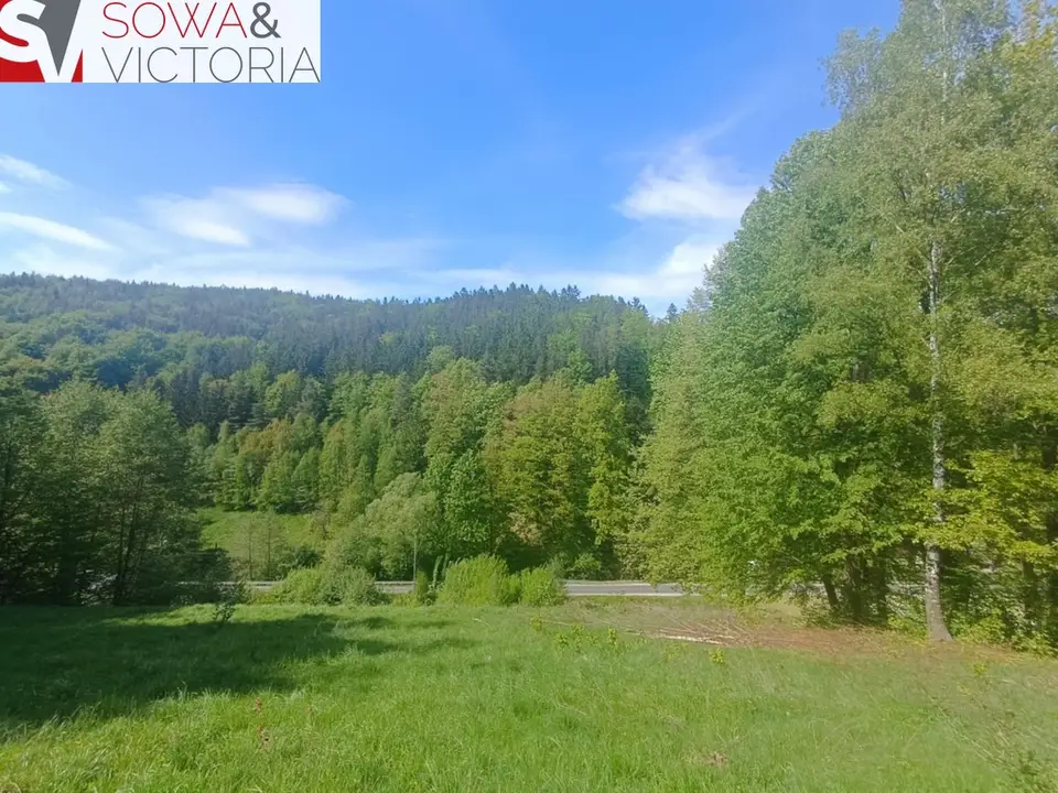 Działka budowlana 8 830 m², Michałkowa