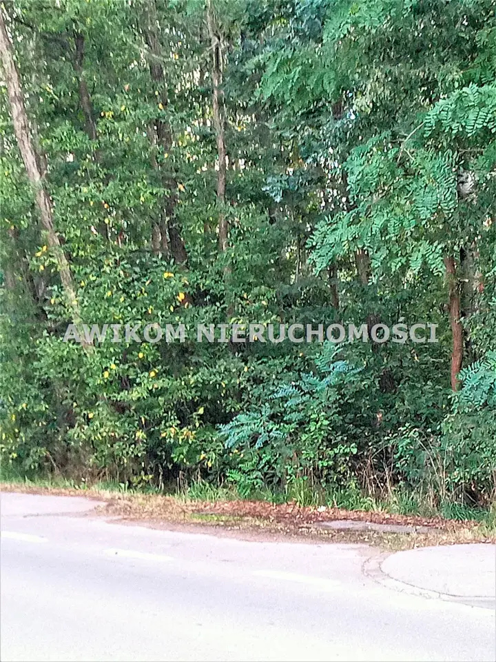 Działka budowlana i leśna 4 000 m², Książenice