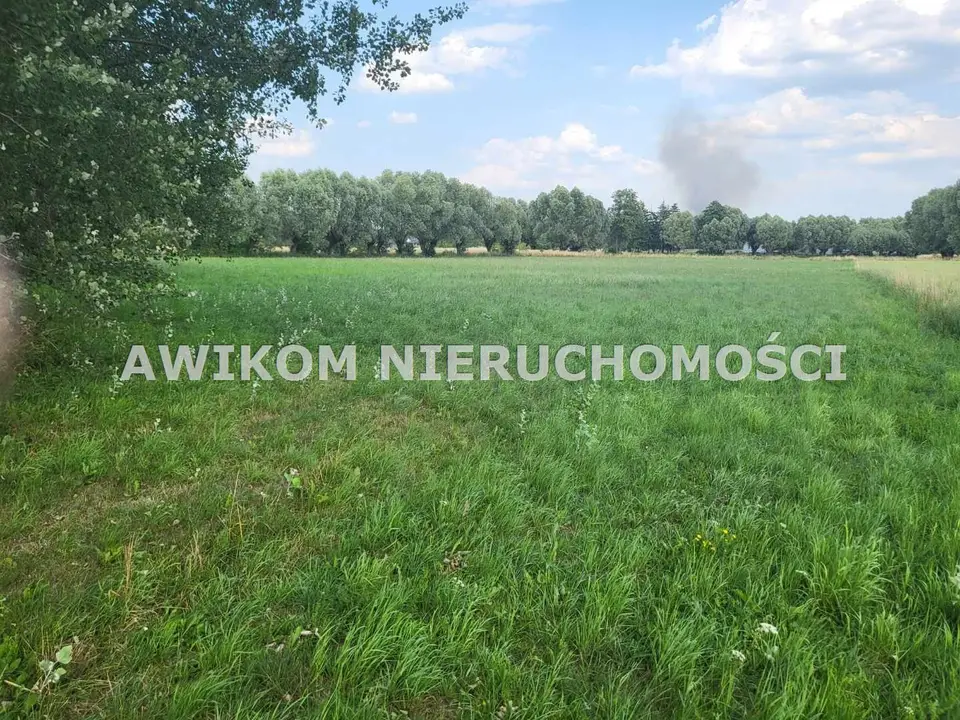 Zdjęcie 6