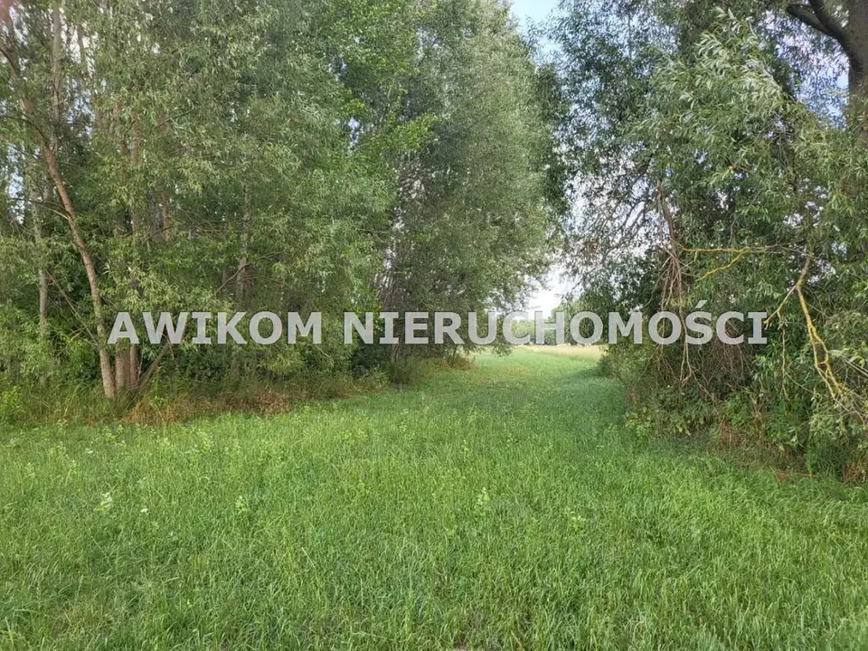 Zdjęcie 4