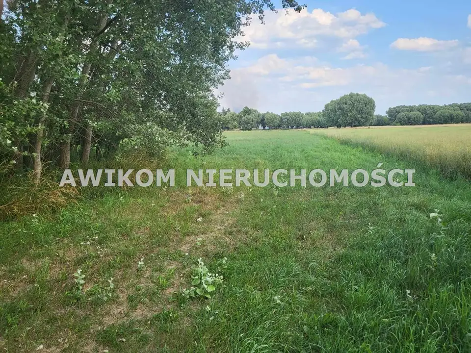 Zdjęcie 5