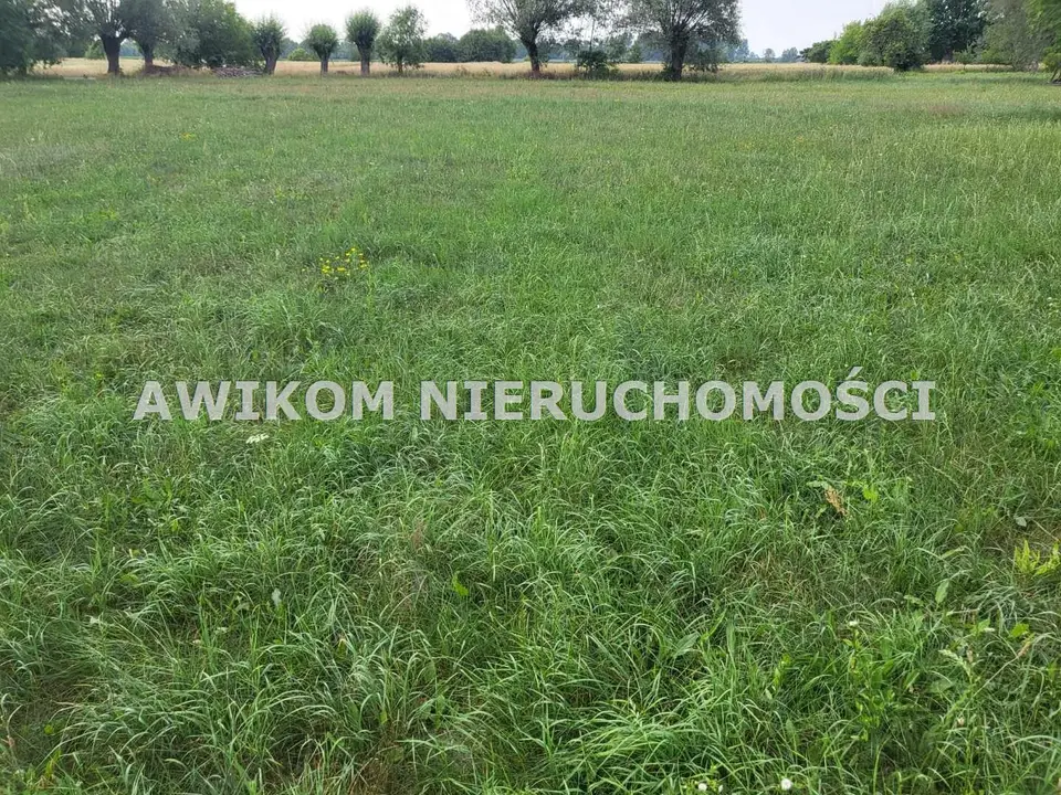 Zdjęcie 11