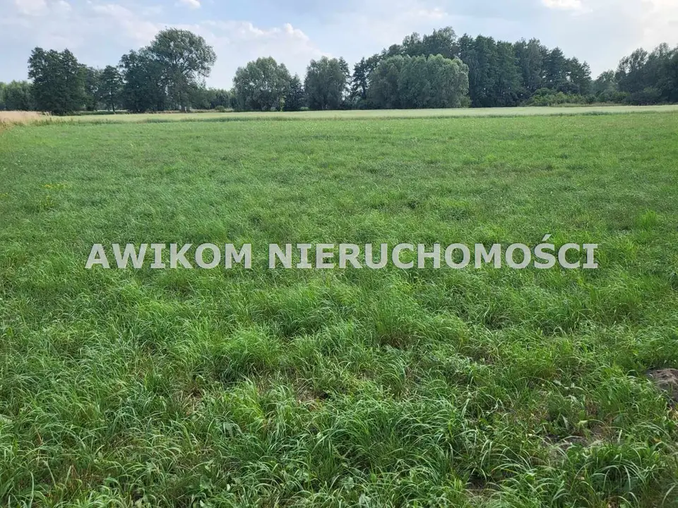 Zdjęcie 8