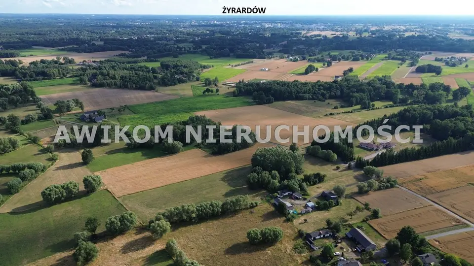 Zdjęcie 12