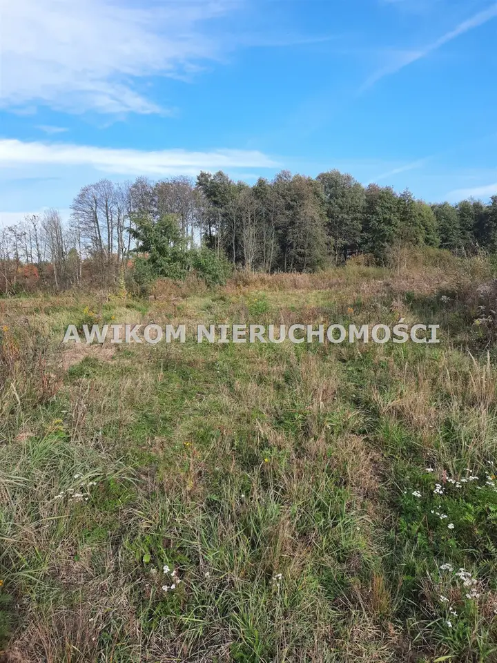 Działka rekreacyjna i inwestycyjna 7 997 m², Szczęsne