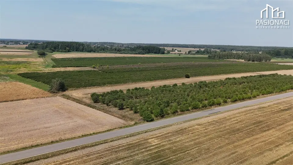 Zdjęcie 9
