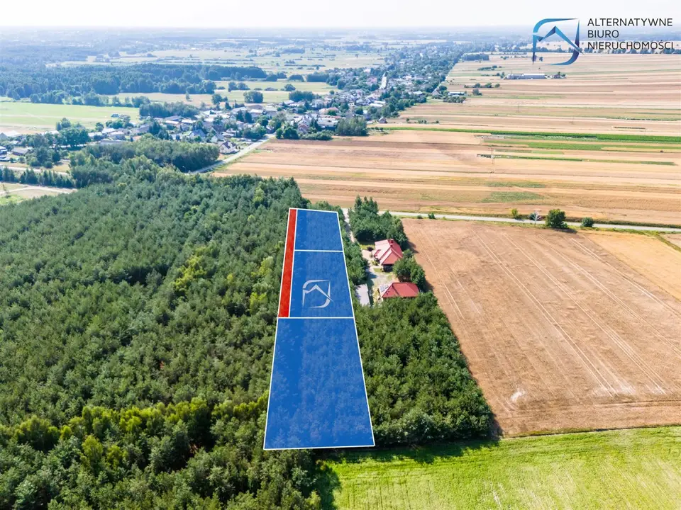 Zdjęcie 5