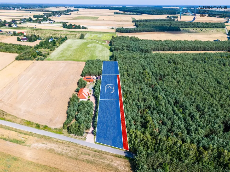 Zdjęcie 7