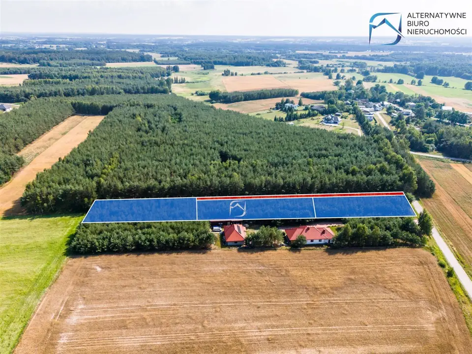 Zdjęcie 8