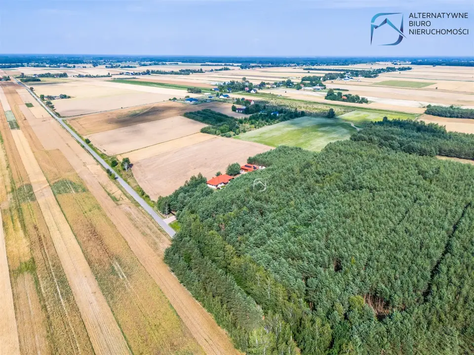 Zdjęcie 10