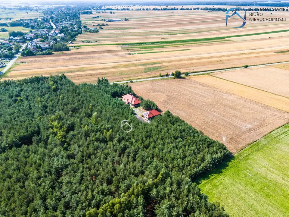 Zdjęcie 11