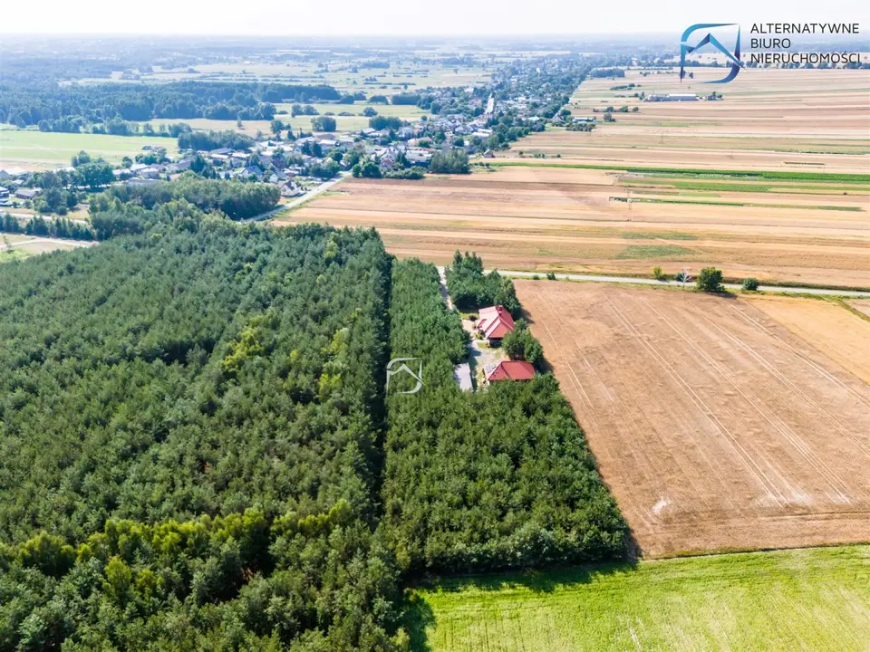 Zdjęcie 12