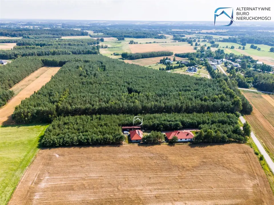 Zdjęcie 14