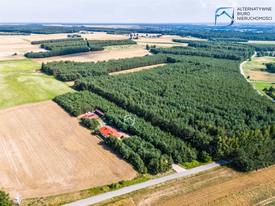 Zdjęcie 15