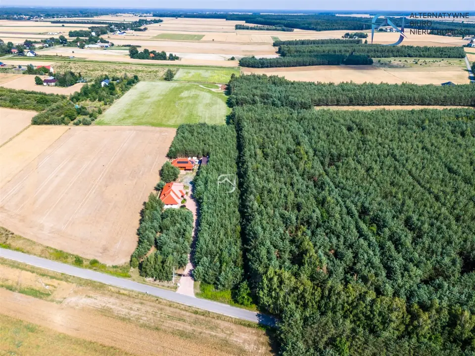 Zdjęcie 16