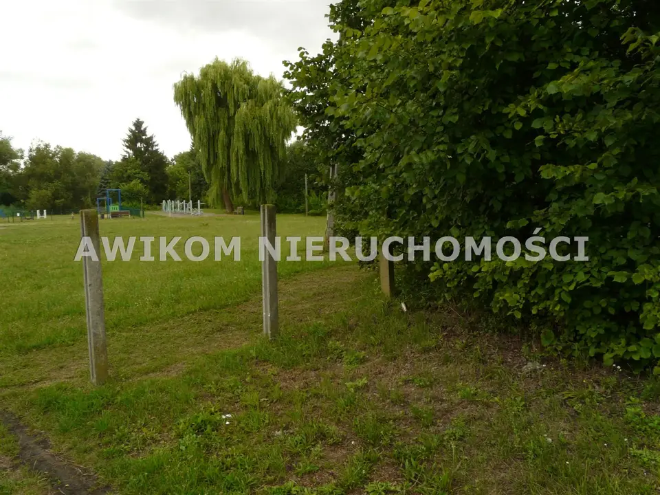 Zdjęcie 5
