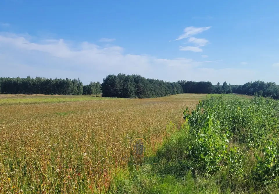 Działka budowlana i leśna 4 059 m², Pałecznica