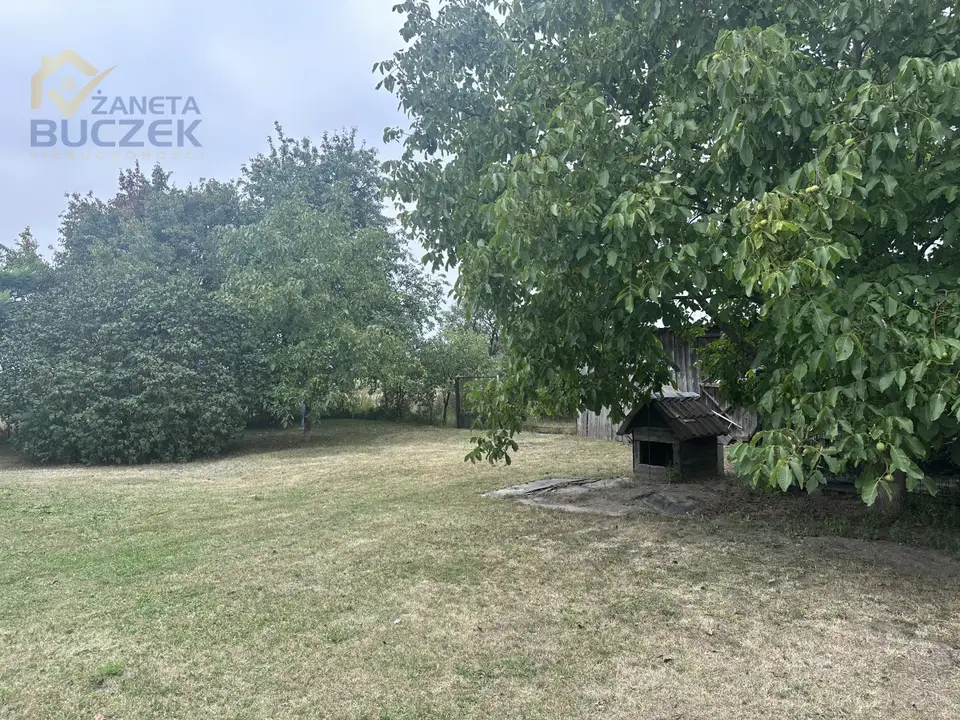 Zdjęcie 2