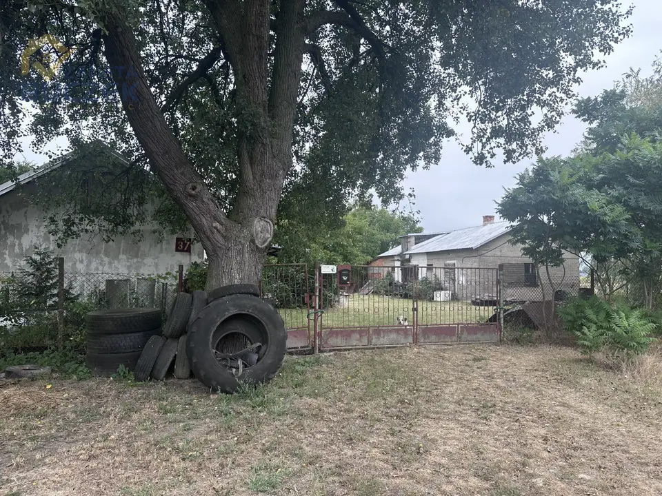 Zdjęcie 3