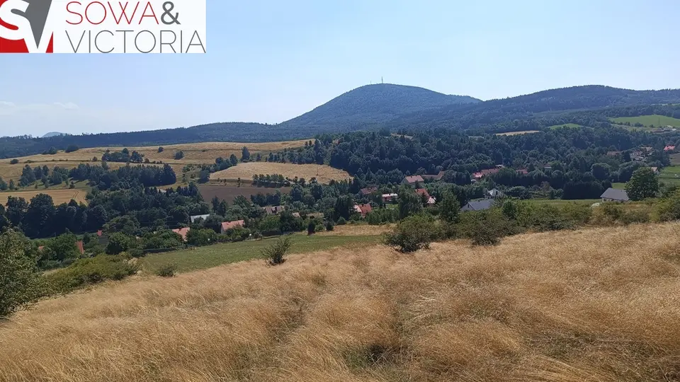 Zdjęcie 5