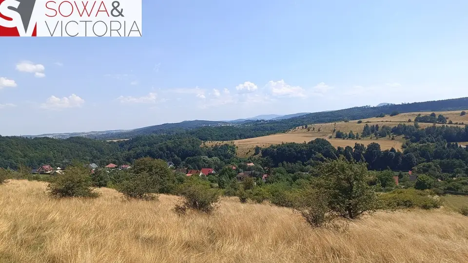 Zdjęcie 6