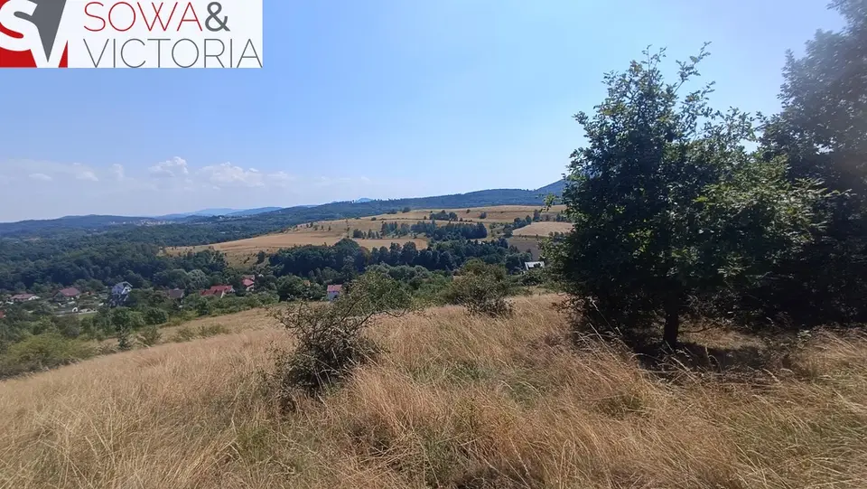 Zdjęcie 7