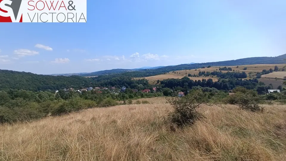 Zdjęcie 8