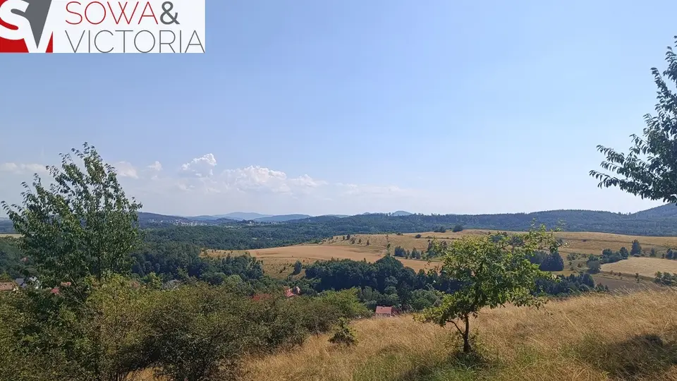 Zdjęcie 9